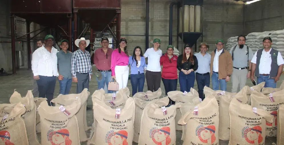 Café Marcala exporta primer contenedor libre de deforestación a la Unión Europea