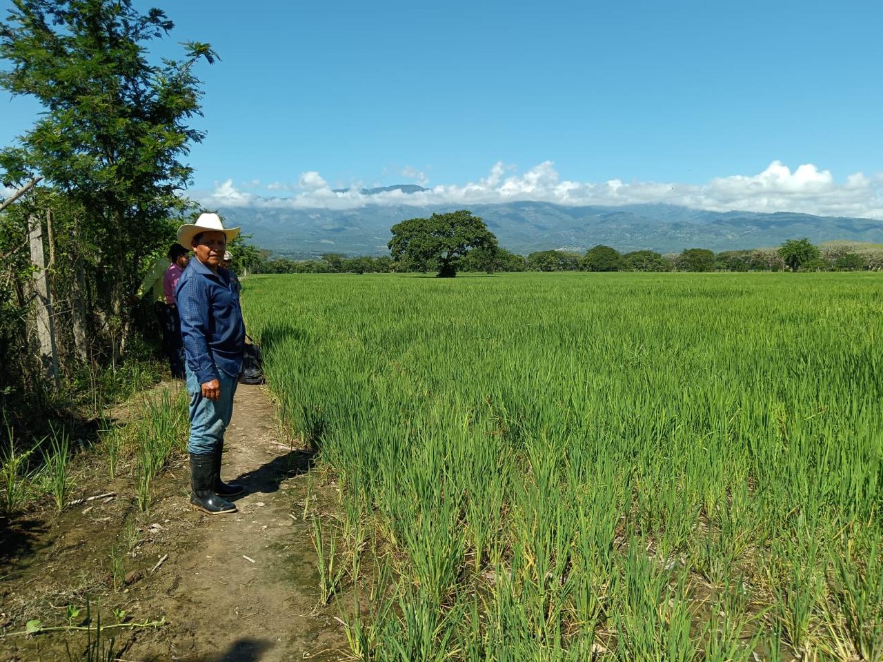 Congreso Nacional aprueba Ley de Alivio Financiero para fortalecer al sector agropecuario