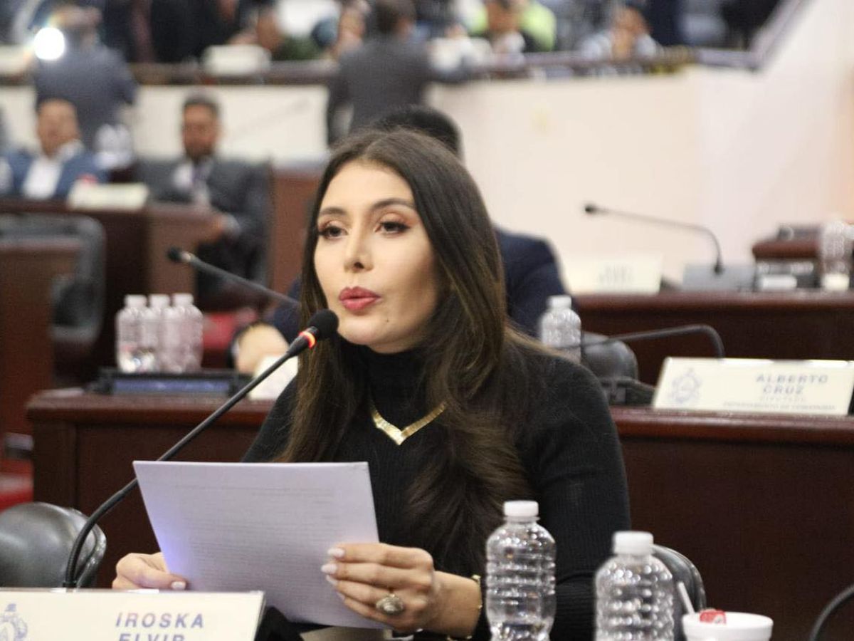 Diputada Iroshka Elvir anuncia acciones legales contra periodista Armando Villanueva tras polémica declaración