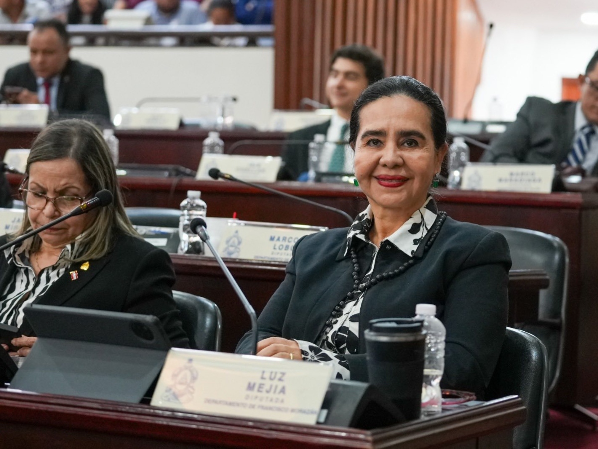 Diputada liberal propone excluir a Libre del CNE y TJE