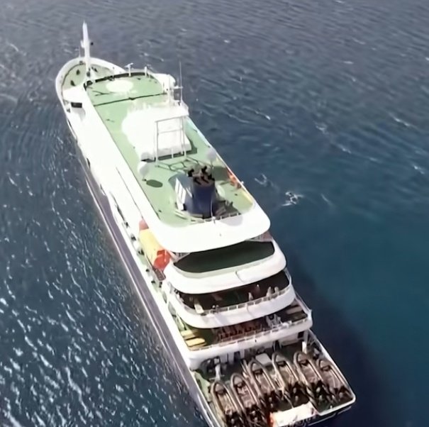 Emergencia sanitaria en crucero: contagios y muertes por sospecha de hantavirus