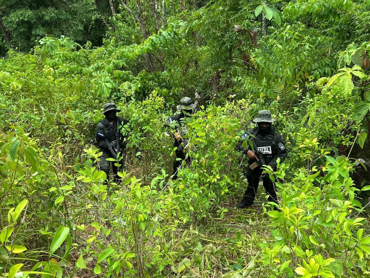 FF.AA. asestan golpe de L324 millones al narcotráfico y crimen organizado