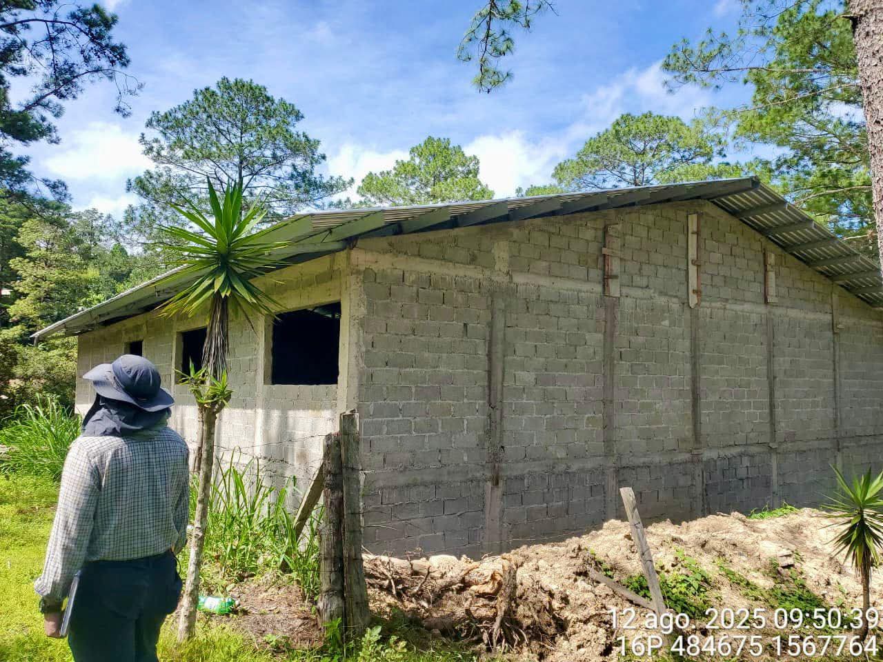 Formalizan proceso por tala ilegal y construcción de iglesia sin permisos en La Tigra