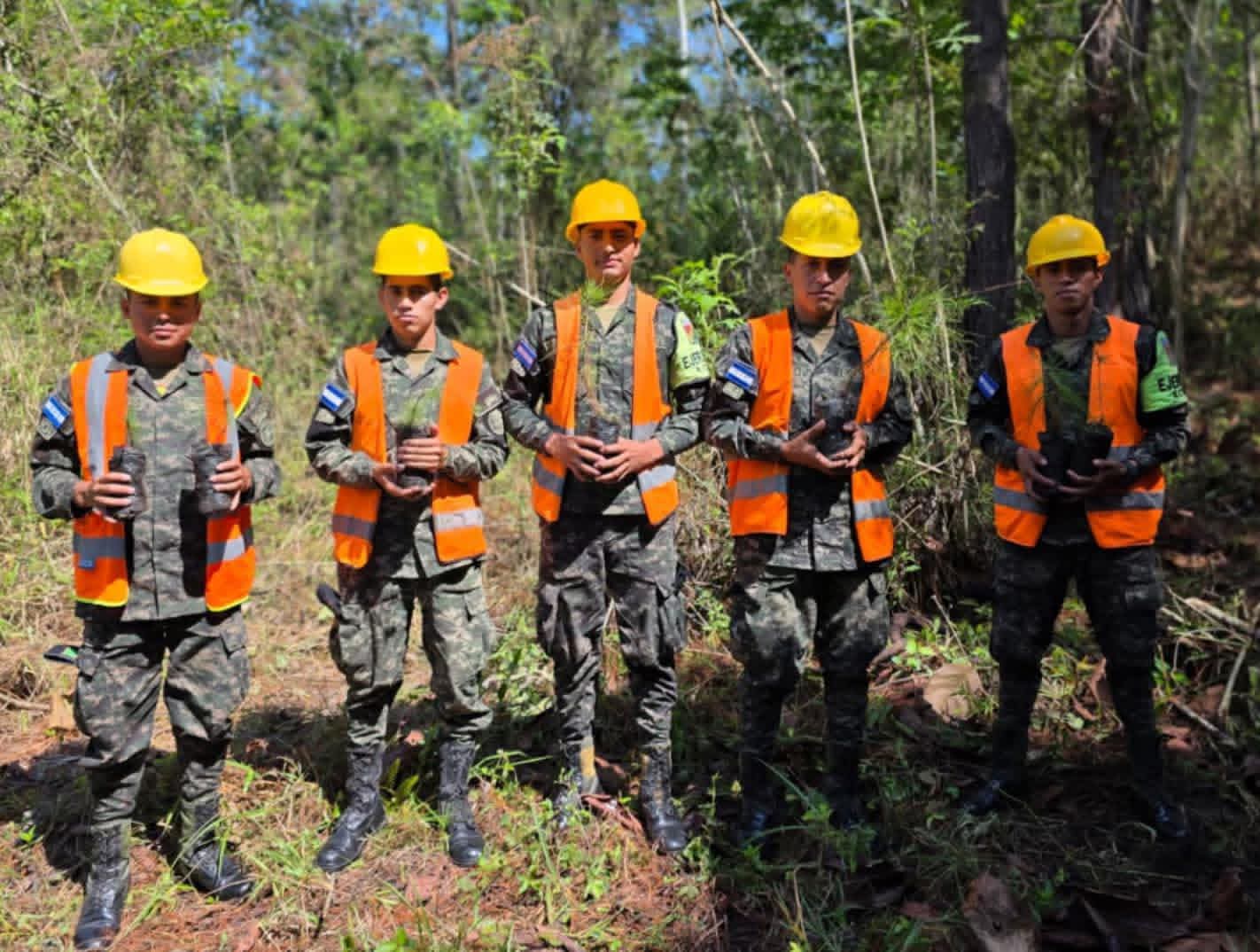 Fuerzas Armadas refuerzan la reforestación nacional con más de 12,000 plántulas sembradas
