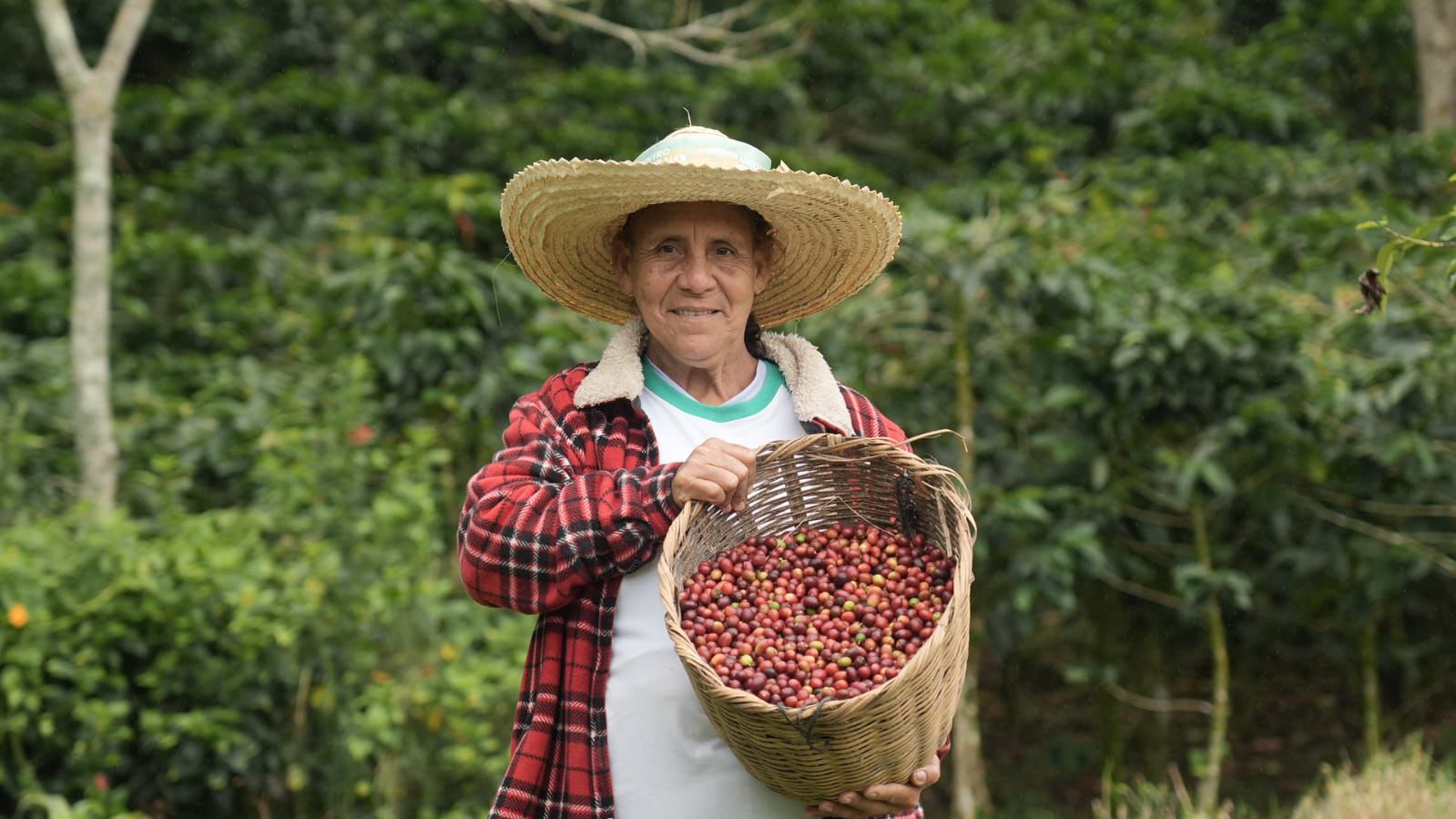 Gobierno apuesta por liderazgo femenino en la caficultura