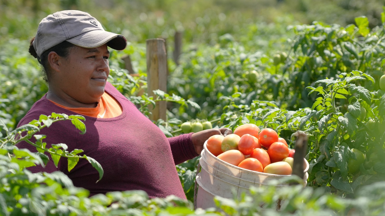 Gobierno reajusta estrategia contra el hambre