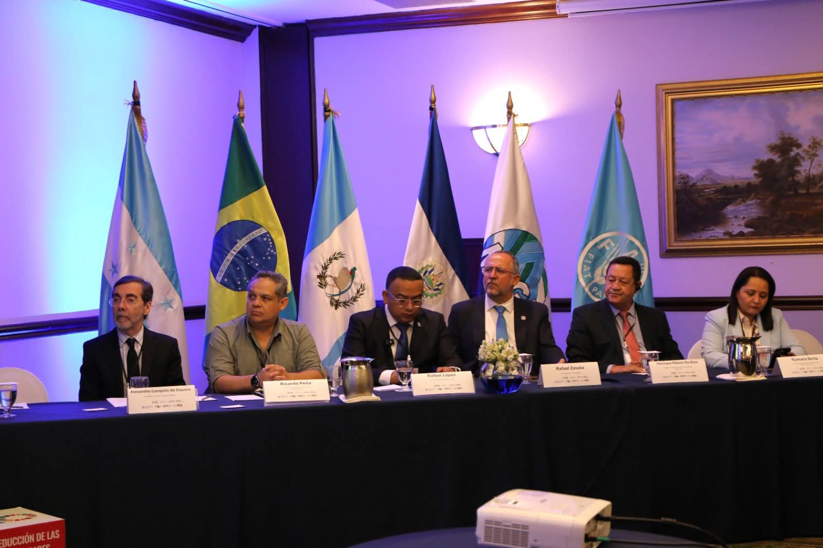 Honduras fortalece acciones ante riesgos agroambientales en encuentro regional