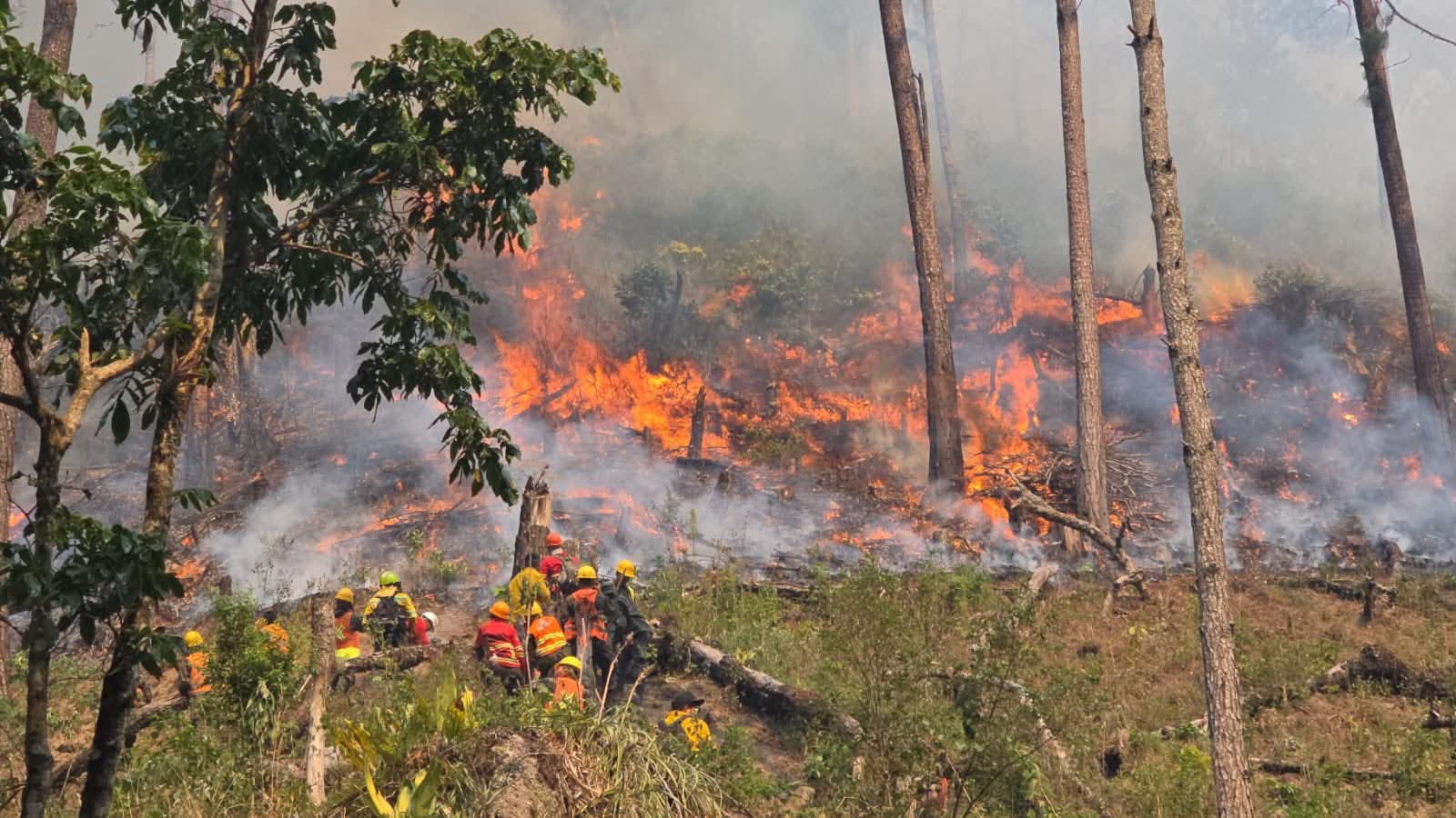 Más de 100 militares combaten incendio forestal en el Parque Nacional Celaque