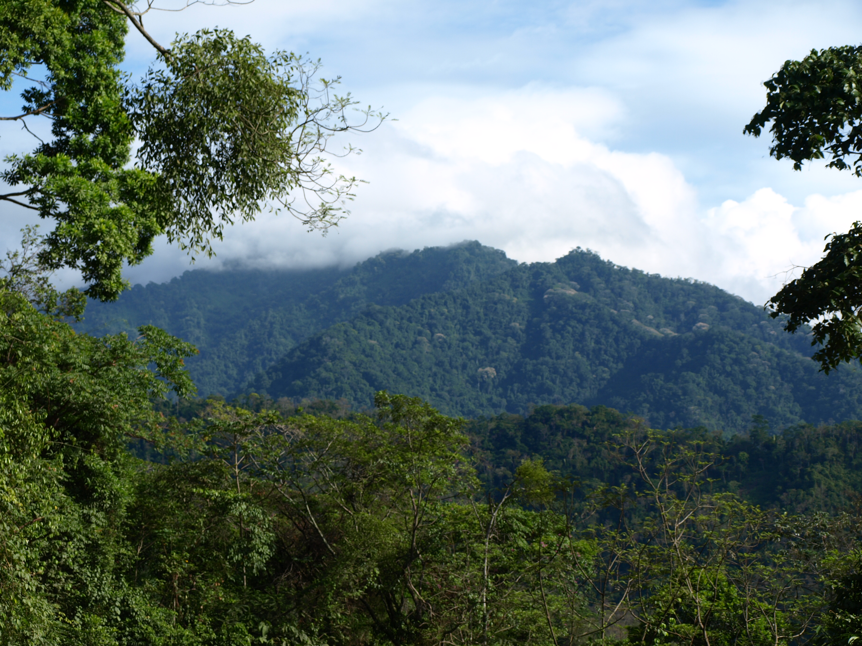 Más de 140,000 firmas rechazan convertir El Merendón en Parque Nacional