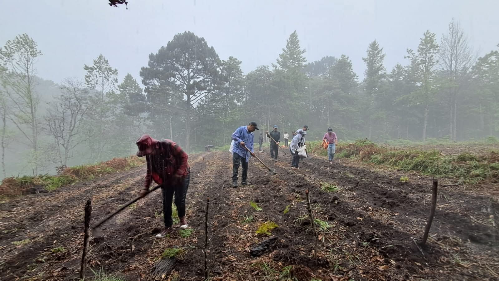 Productores de Chinacla fortalecen preparación técnica para incrementar la producción de maíz