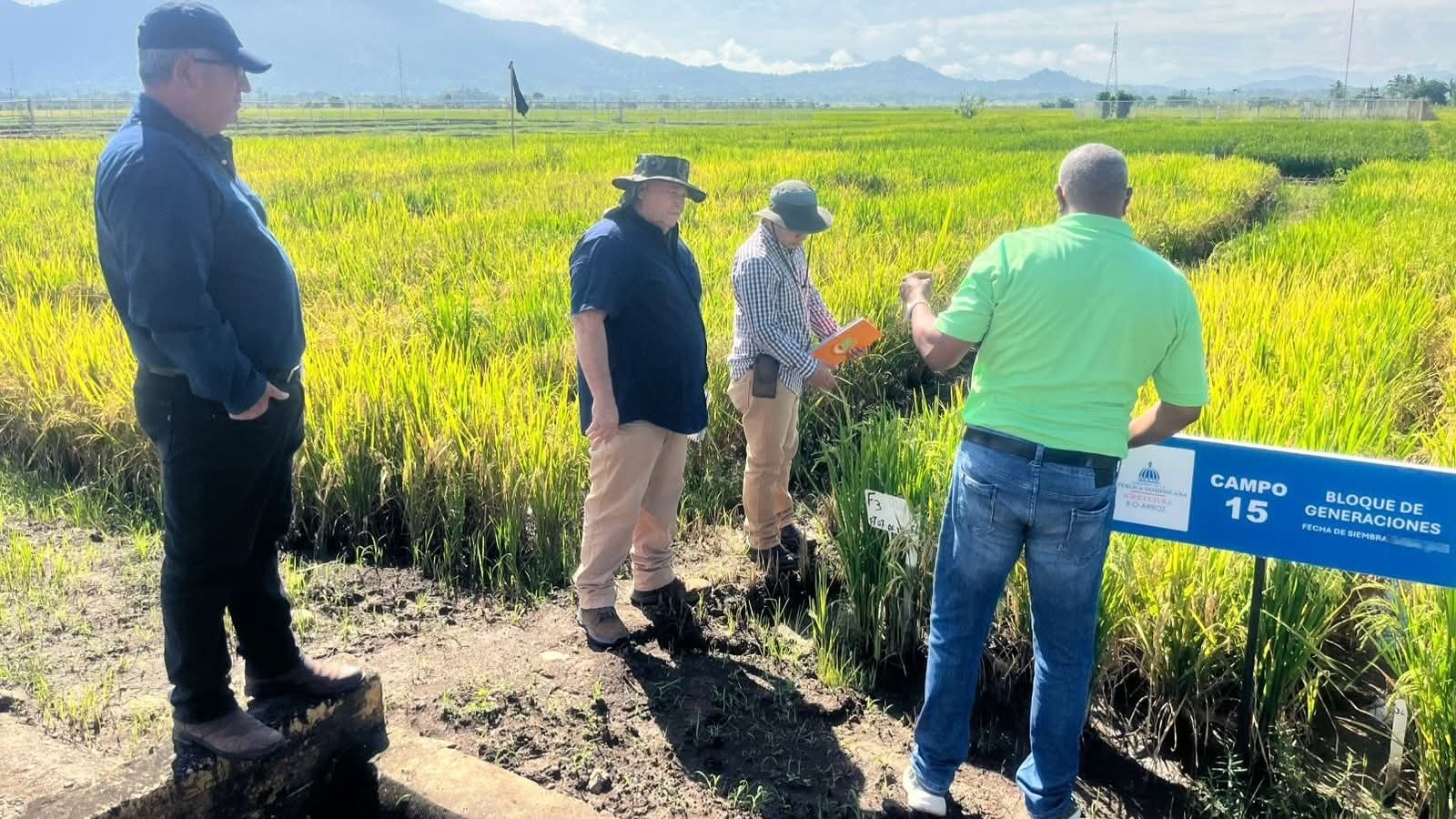 SAG-DICTA impulsa innovación arrocera en República Dominicana