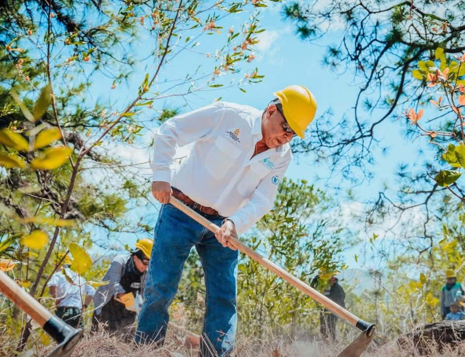 SERNA fortalece prevención de incendios y adaptación climática en microcuenca Apane